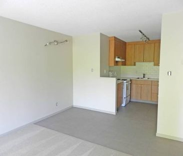 Newly Renovated 1 Bedroom at Pineview Place - Photo 4