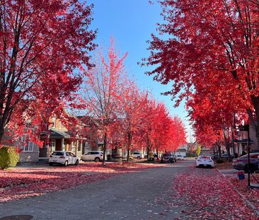 For Lease - 16 Vecchia Street, Markham, Ontario - Photo 1