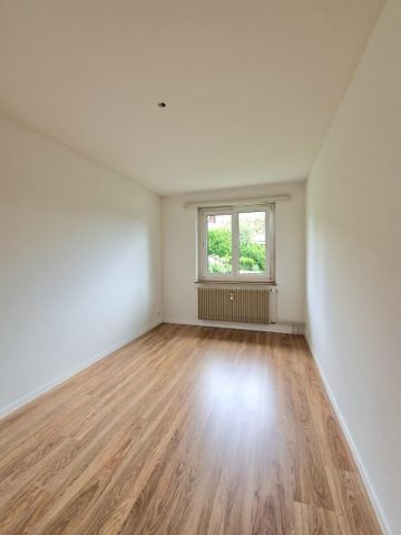 "Aufgefrischte, gemütliche 3-Zimmer-Wohnung!" - Foto 3