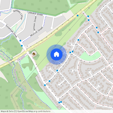 8 Petrel Place Tregear