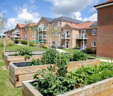 1 bedroom retirement property to rent - Photo 6