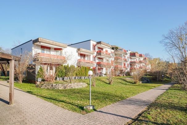 sunny residential neighborhood in a child-friendly environment - Photo 1
