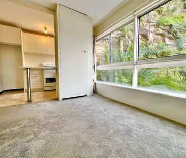 7/51 Roslyn Gardens, Elizabeth Bay NSW 2011 - Apartment For Rent | ... - Photo 2