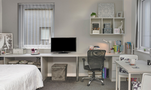 Premium Plus Studio - Photo 5