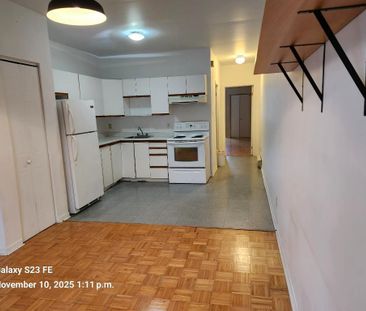 Plateau Mile-End 3 1/2 Montreal - Photo 4