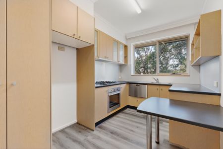 STYLISH REFRESHED APARTMENT IN PRIME KEW LOCATION - Photo 3