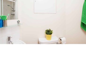Large High Double Ensuite: Three Bed Flat - Photo 3
