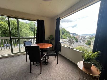 Sunny & warm fully furnished house in CBD - Photo 3