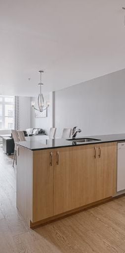 Appartement 3 ½ à louer Lévis septembre 2025 - Photo 1