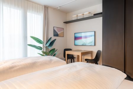 1.5 Zimmerwohnung - lichtdurchflutetes Apartment mit Sicht in die Alpen - Foto 4