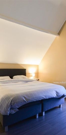 Te huur, gunstig gelegen, instapklare woonst te Oudenaarde - Photo 1