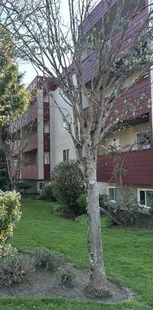 Renovated 2 bedroom suite at North Hill Apartments - Photo 1