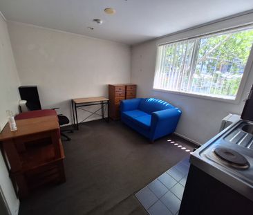 Compact Sunny Apartment - Photo 4