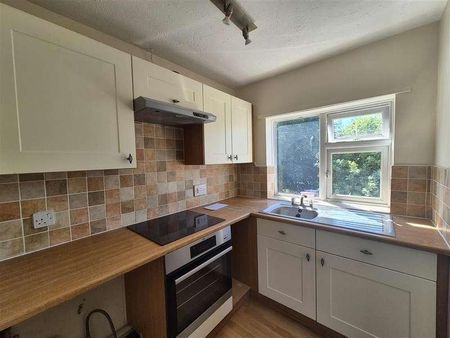 Nicholson Court, Hereford, HR4 - Photo 2
