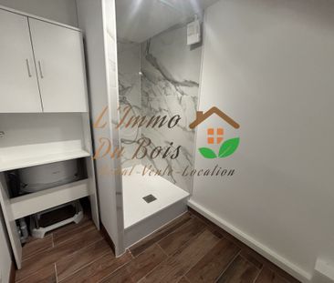 Location Appartement 3 pièces 49m² CHANAS 38150 - Photo 3