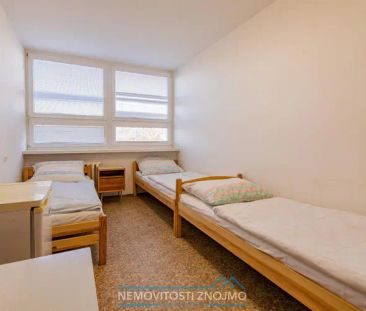 Pronájem lůžka na ubytovně Hrušovany n. Jev. po rekonstrukci bez ka... - Fotografie 4