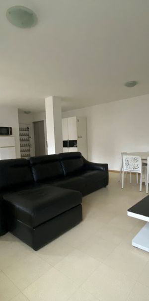 Location Appartement 2 pièces 59m² ST LOUIS 68300 - Photo 1