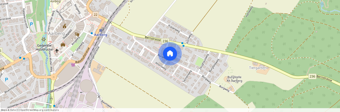 3270, Aarberg, Burgweg, 13