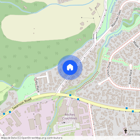 19 Birdwood Road, Swanson