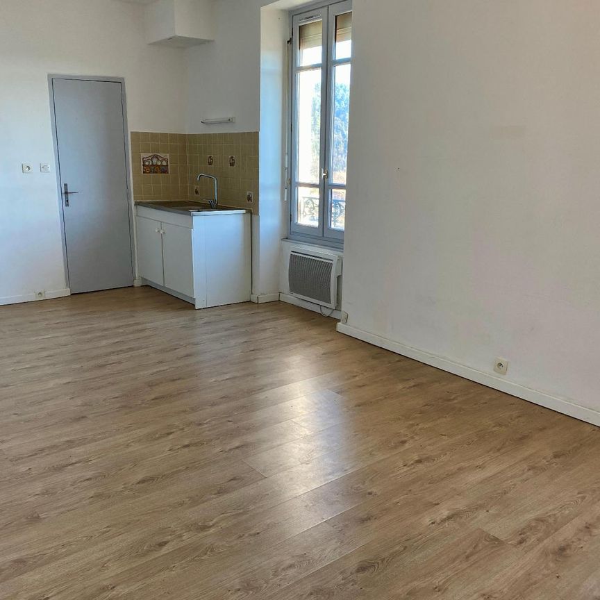 Location Appartement 1 pièce 23m² LABEGUDE 07200 - Photo 1