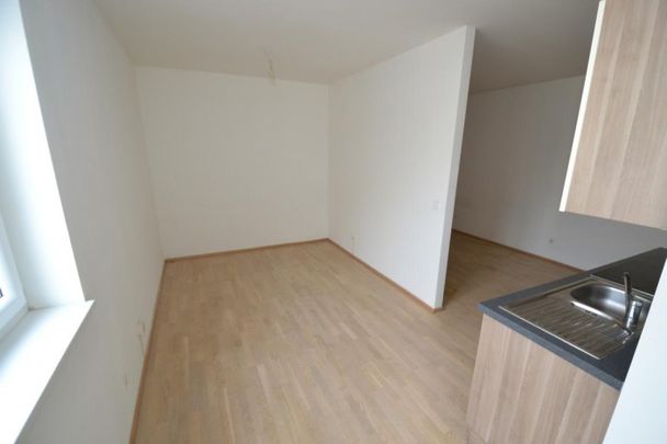 Jakomini – 39m² – Erstbezugscharakter – Wohnen am Murufer – Singlewohnung - Photo 1