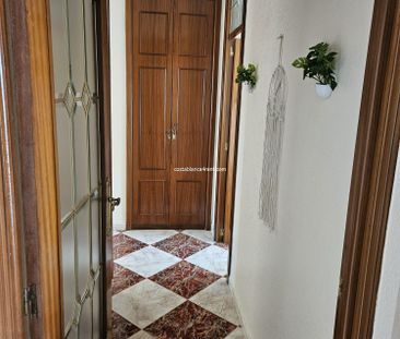 Benidorm Levante Winter and Holiday let - Photo 1