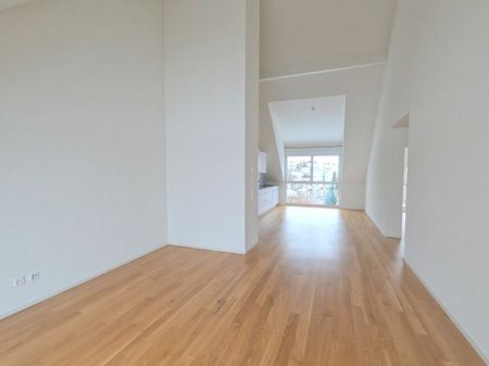 Appartement de 3,5 pièces lumineux, calme et spacieux avec de bonnes liaisons CFF dans toutes les directions - Foto 5