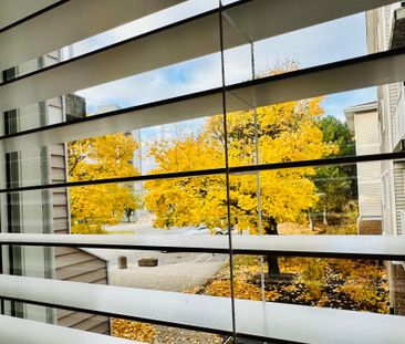 For Lease - 260 Brittany Drive Unit# 200, Manor Park - Cardinal Gle... - Photo 1