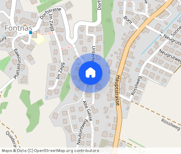 5.5 Room Apartment - Photo 1