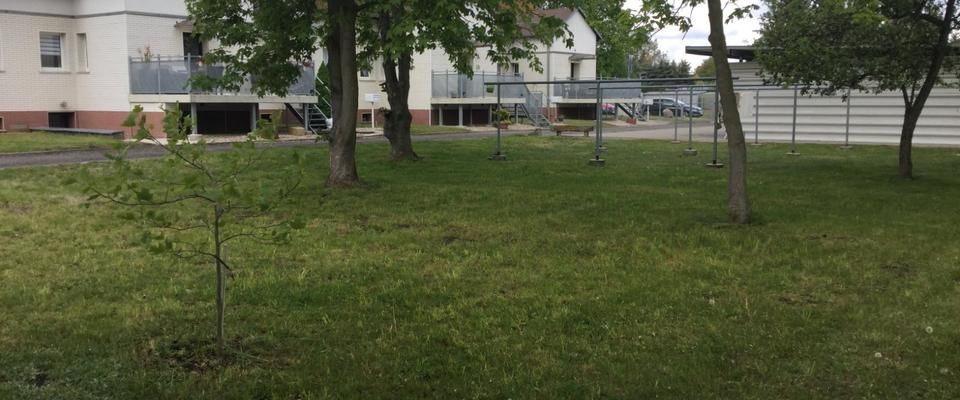 2 Raum Wohnung/ Doppelhaushälfte i n ruhiger Lage von Privat - Foto 1