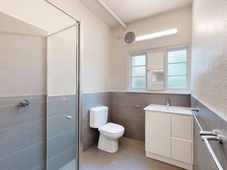 FULLY RENOVATED IN BOUTIQUE ART DECO BUILDING - Photo 4