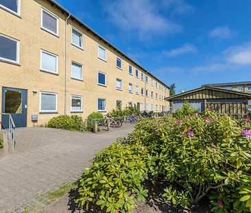 Asagården, Jættegården 1010-0 - Foto 5