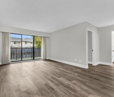 Maple Manor Apartments - Photo 6