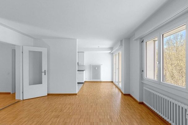 Quiet residential area in Riehen - Photo 1