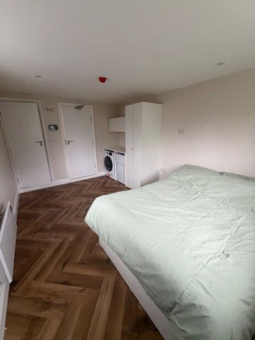 Studio Flat, Ramsay Road, W3 - Photo 2