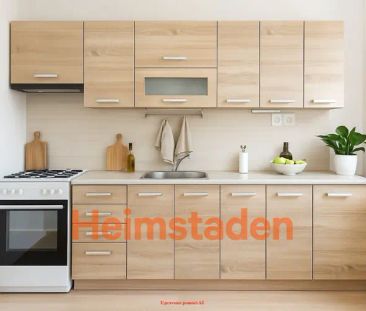 Pronájem bytu 2+1 55 m - Photo 4