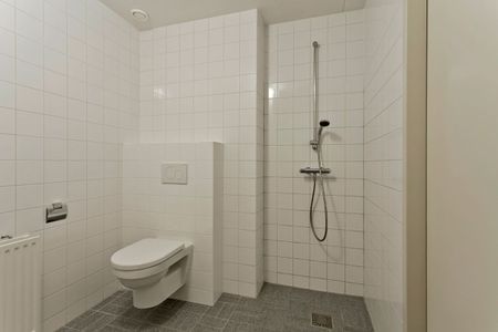 Appartement te huur: Bloemendalsweg 11-F17 7429 AL Colmschate - Photo 3