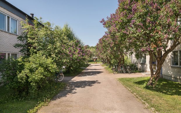 Väktargatan 36 C, 75422, Uppsala - Photo 1