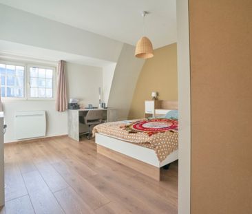 CLERIN Roommate 4 Bedrooms at Nancy - Photo 2