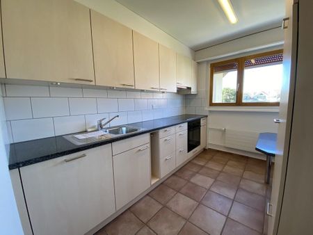 Living in the countryside! - Photo 4