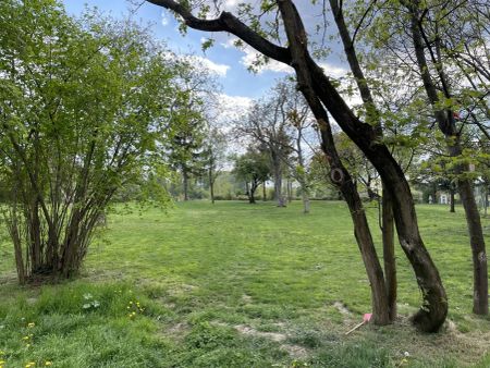 Beautiful and furnished 107 m² 4 room apartment with terracce for rent in 1210 Vienna located directly at the Obere Alte Donau! - Foto 5