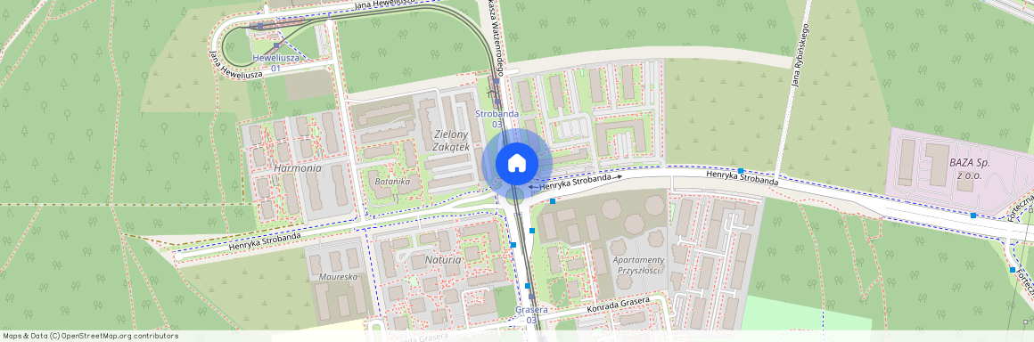 Wrzosy, Toruń, kujawsko-pomorskie