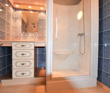 Appartement - EPINAL - Studio MEUBLE - 36 m2 - Photo 3