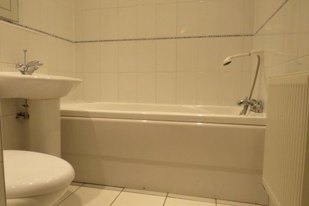 Trujillo Court - Photo 5