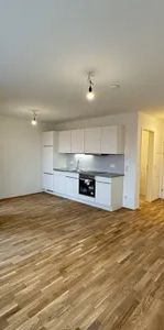 Ideal Geschnittene 1-Zimmer-Wohnung mit Loggia - U3 in Gehweite - Ab 01.01.2027 verfügbar! - Photo 1