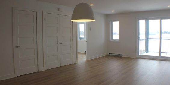 3 CH - 1 SDB - Granby - $1,625 /mo - Photo 3