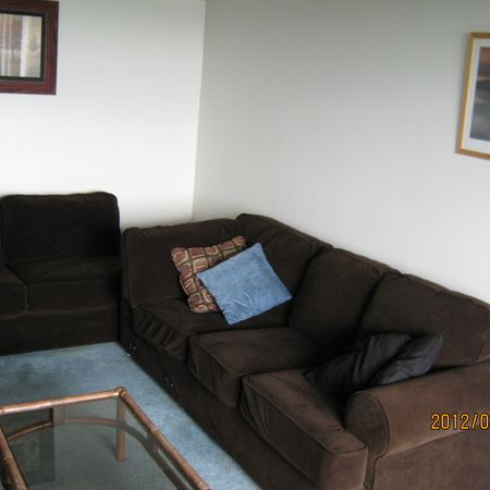 fully furnished 3 BR apt - Photo 3
