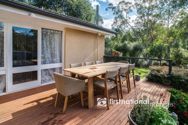 FAMILY FRIENDLY HOME OPPOSITE BELGRAVE LAKE PARK - Photo 1