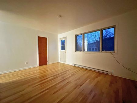 10287 Rue Tanguay - Photo 5