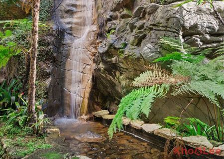 46/1-27 Murray Street, Pyrmont NSW 2009 - Apartment For Rent | Domain - Photo 3